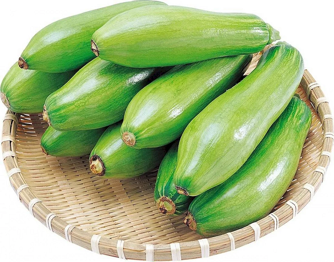 Кабачок