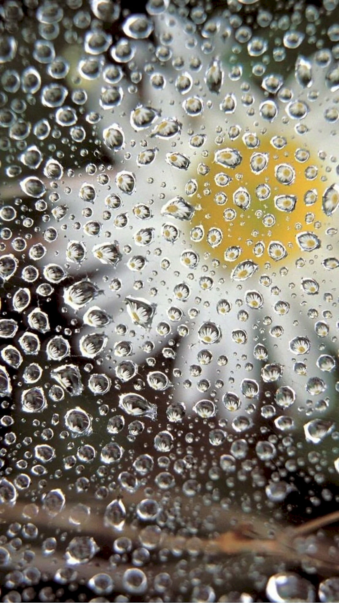Капли воды