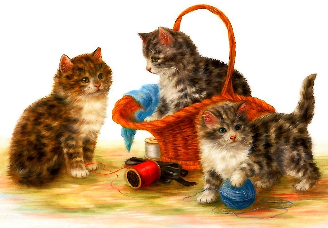 Картина котики