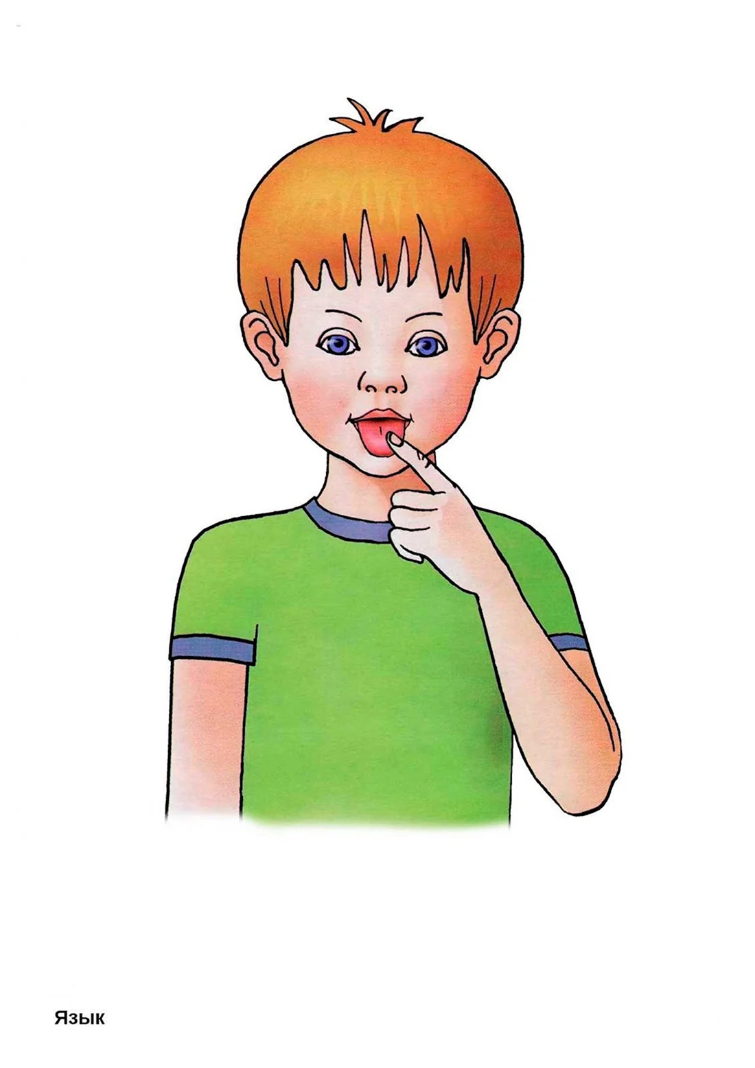 Карточки Асти тела для детей