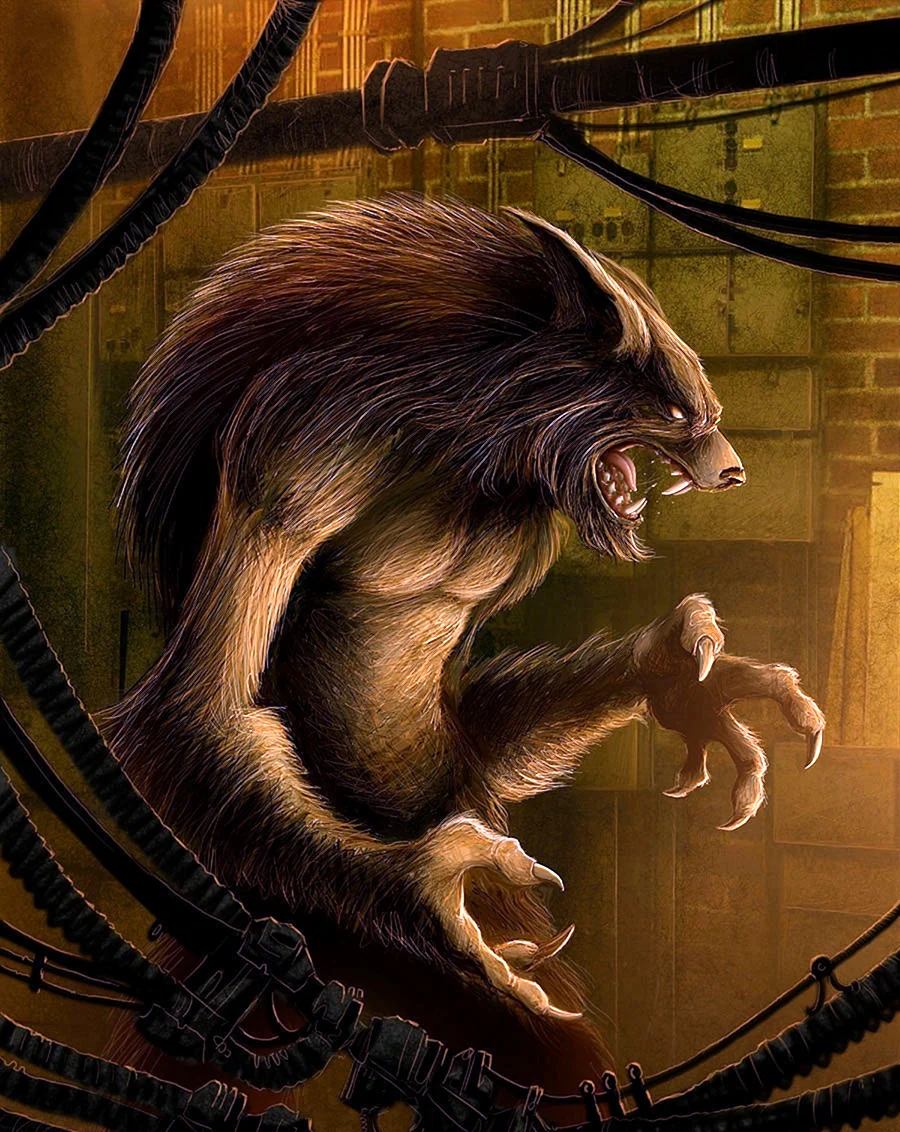 Kerem Beyit оборотни