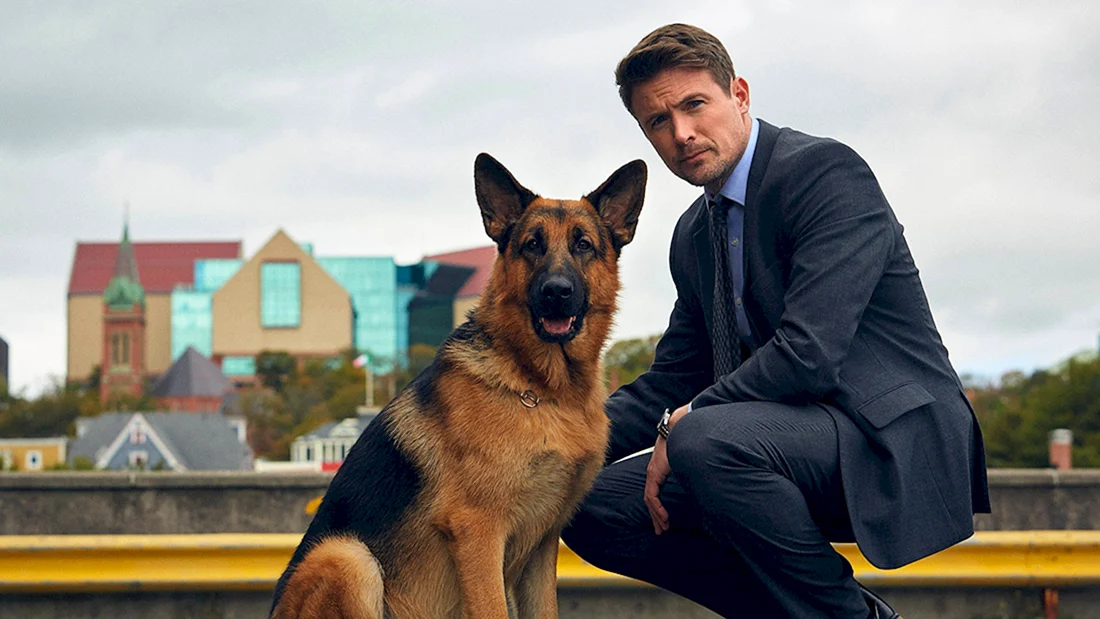 Хадсон и рекс сериал