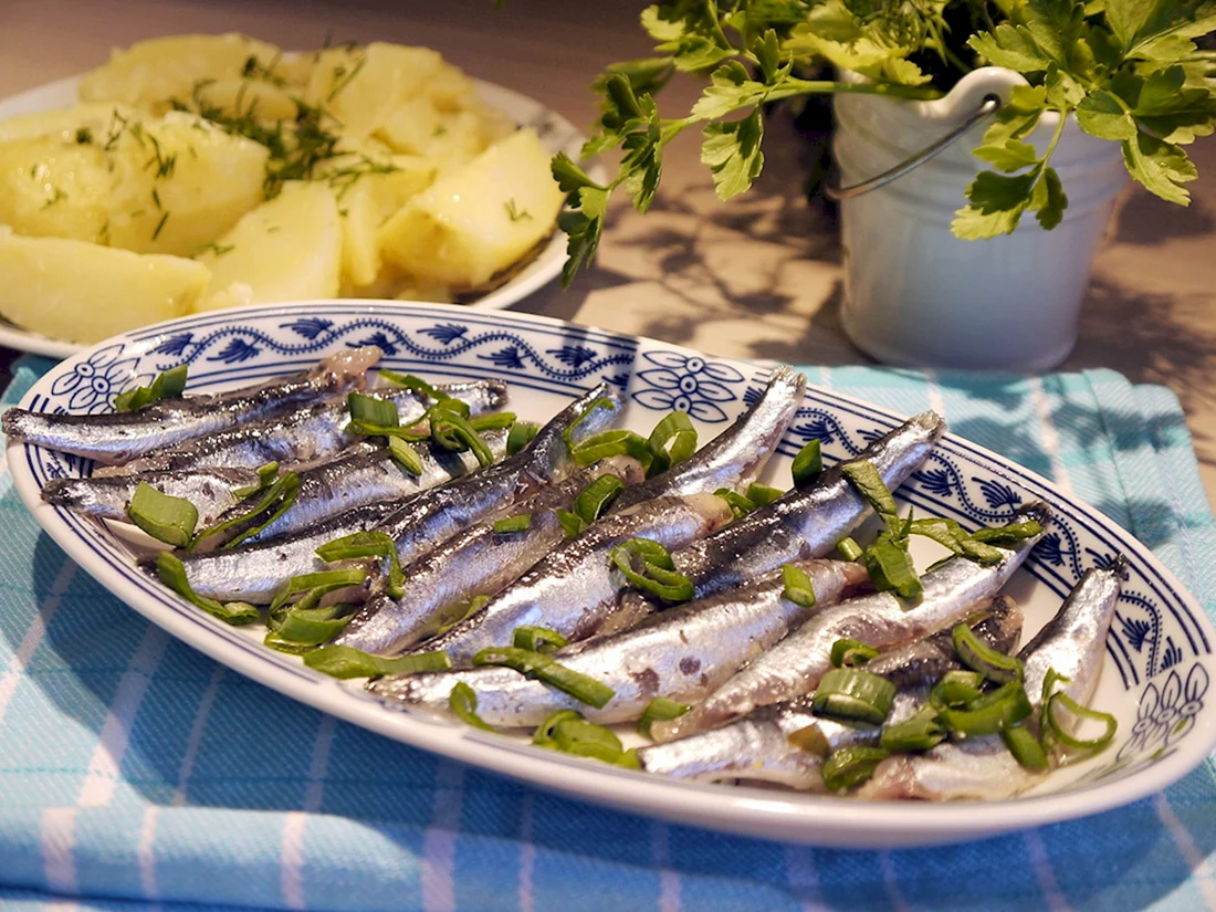 Хамса Черноморская селедка