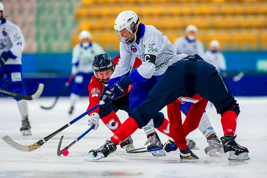 Хоккей с мячом Чемпионат России 2022-2023
