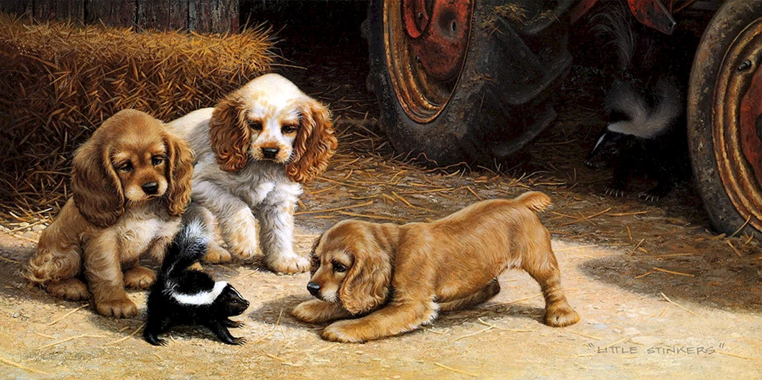 Художник Jim Lamb