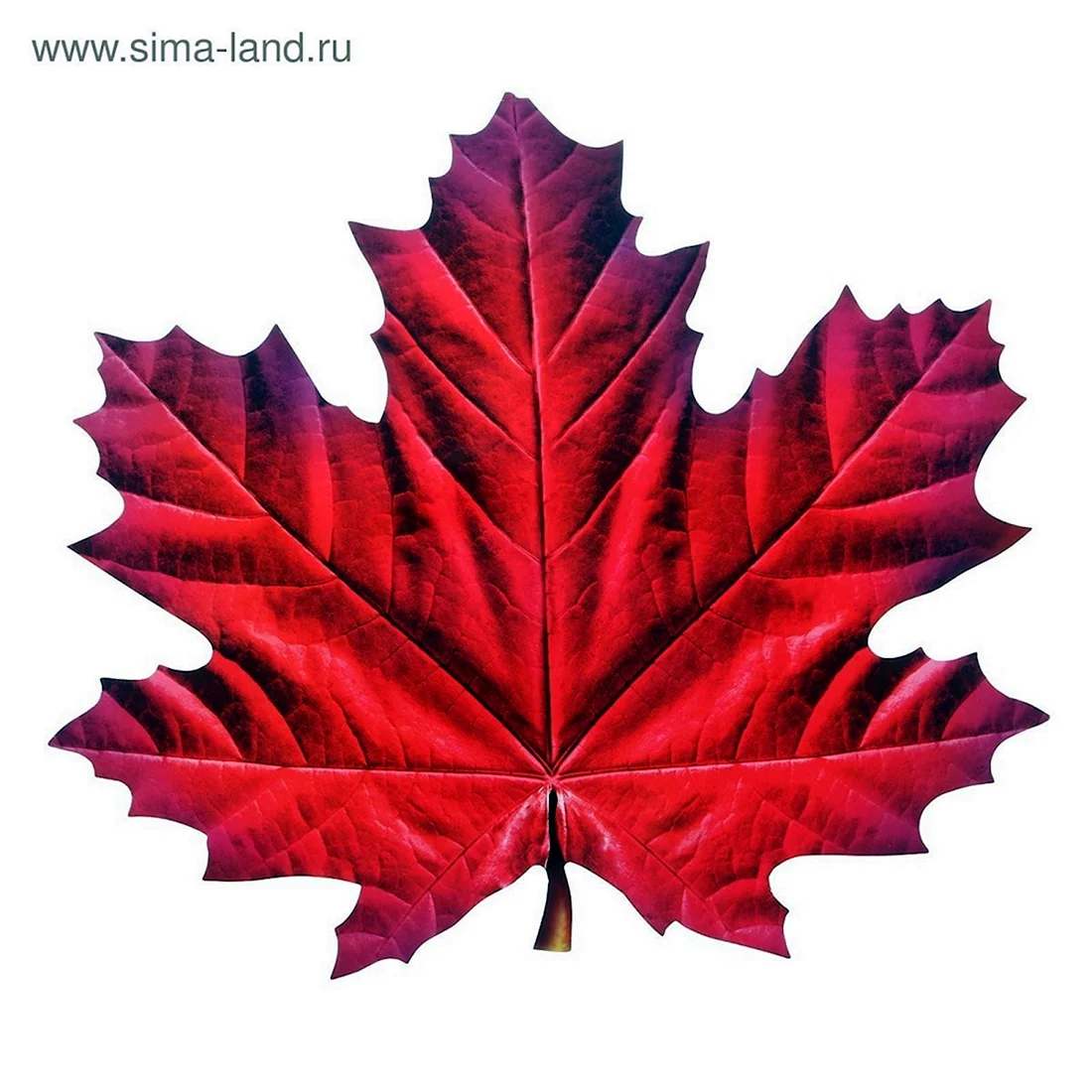 Кленовый лист