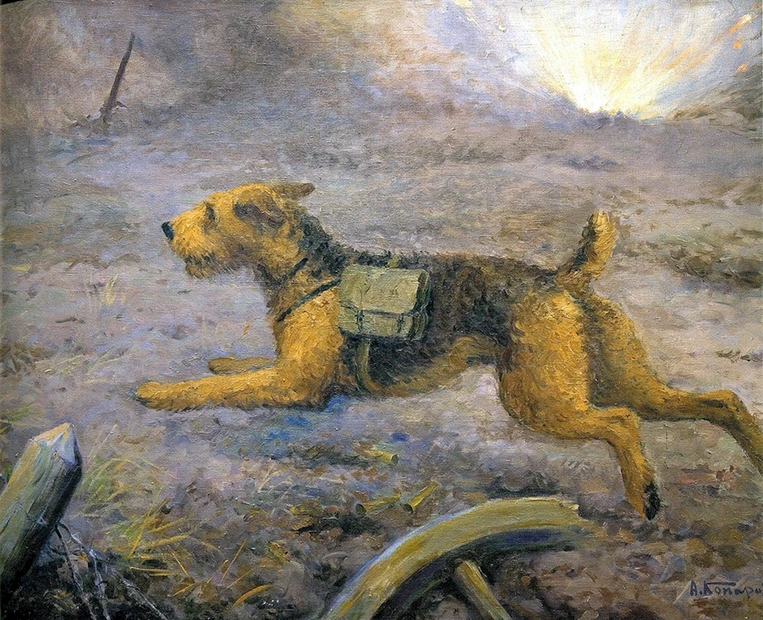 Комаров а.н. «собаки-миноискатели»