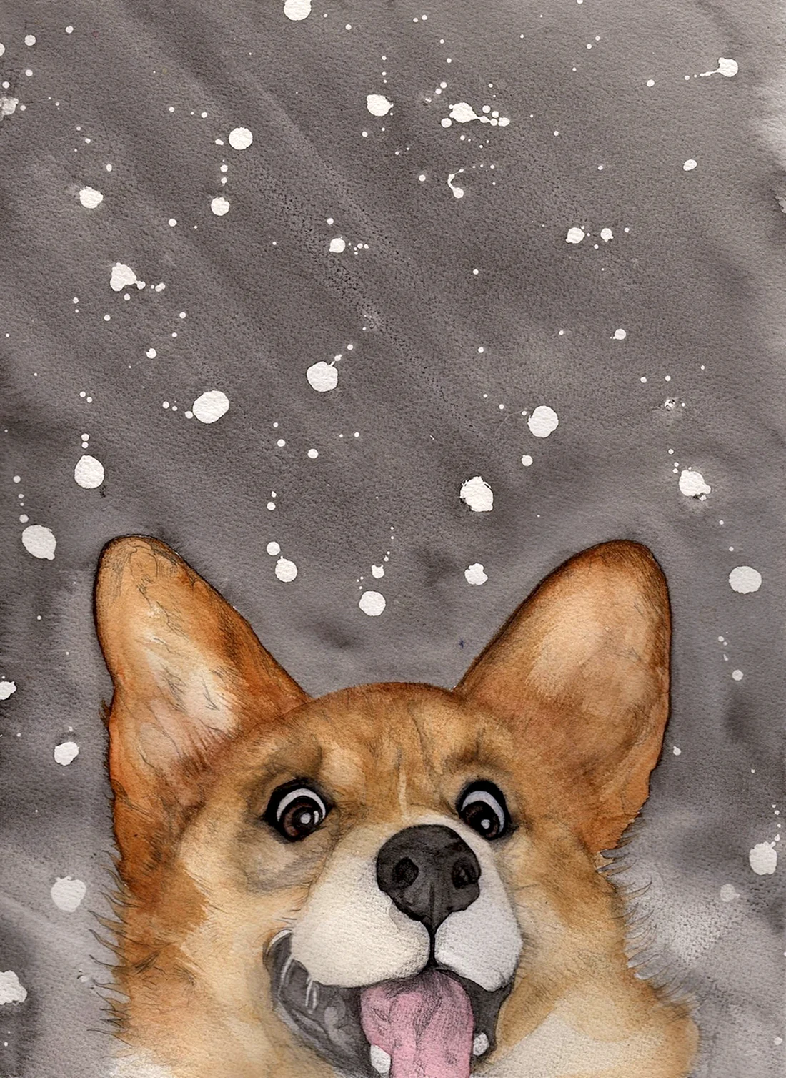 Корги