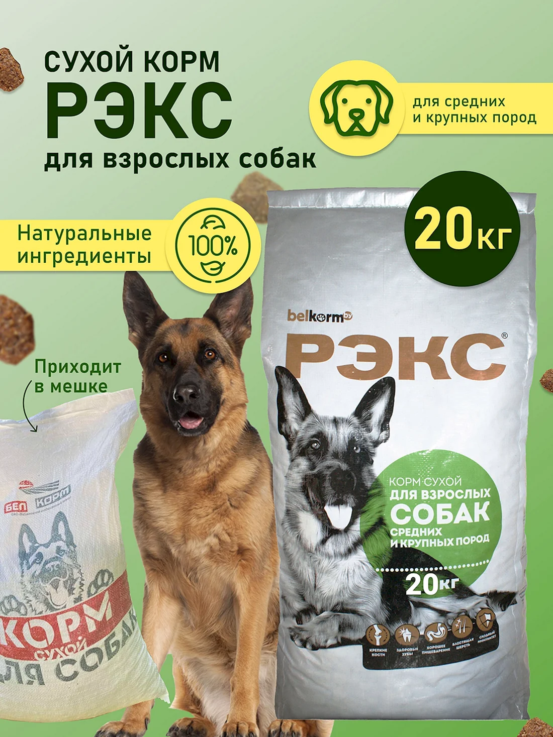 Корм для собак РЭКС для щенков средних и крупных пород сухой