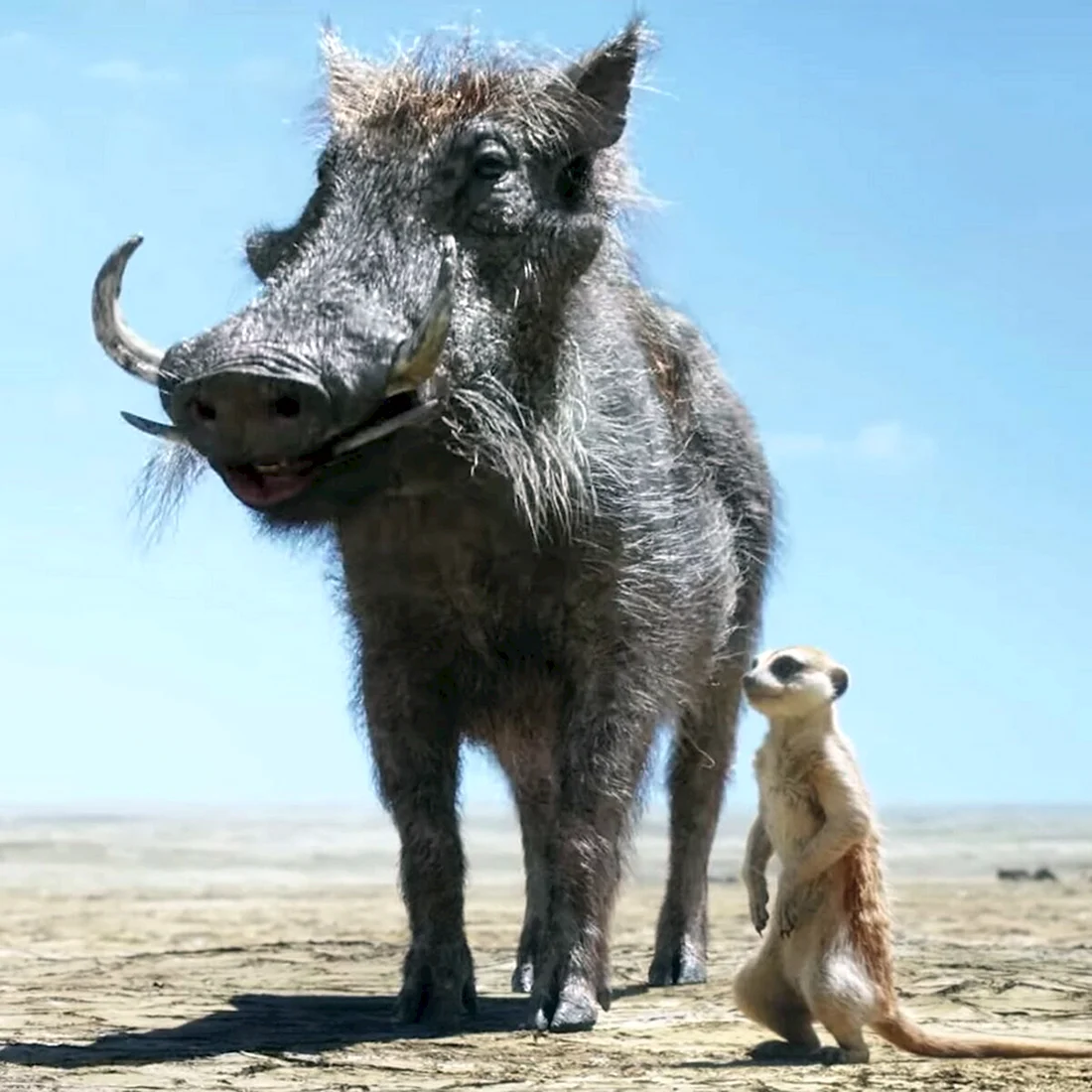 Король Лев фильм 2019 Пумба