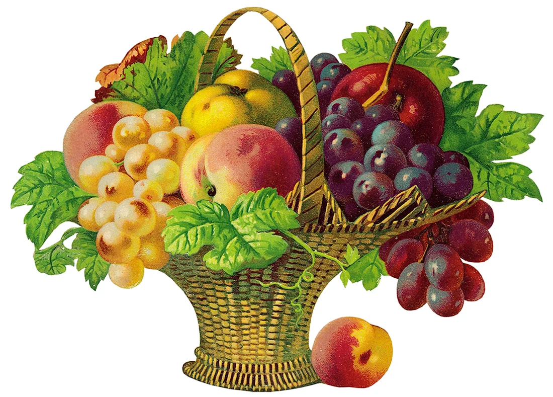 Корзина с фруктами