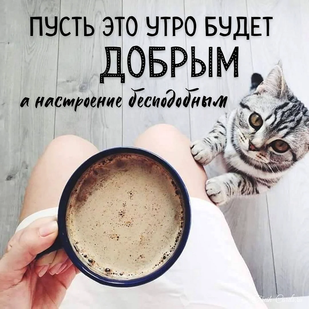 Кот и кофе