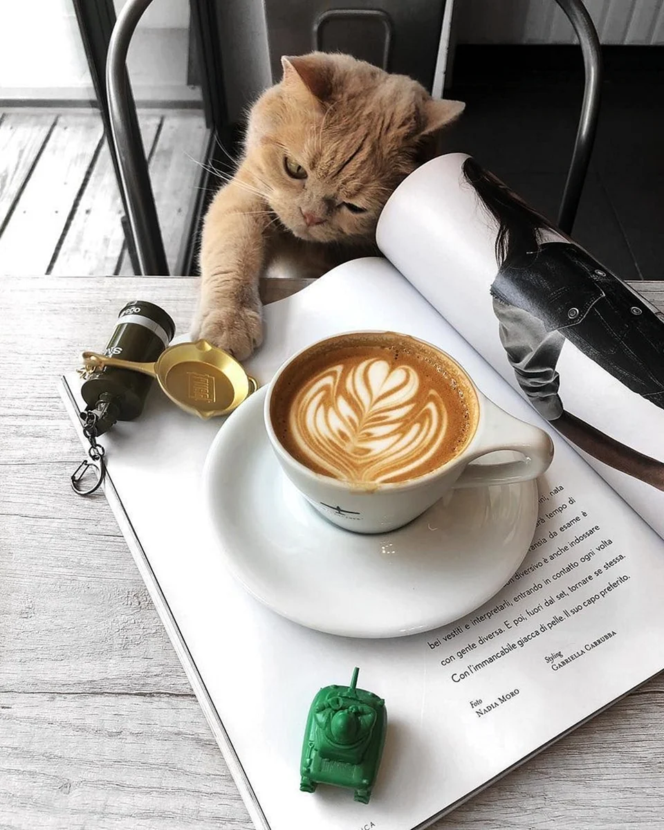 Кот с чашкой кофе