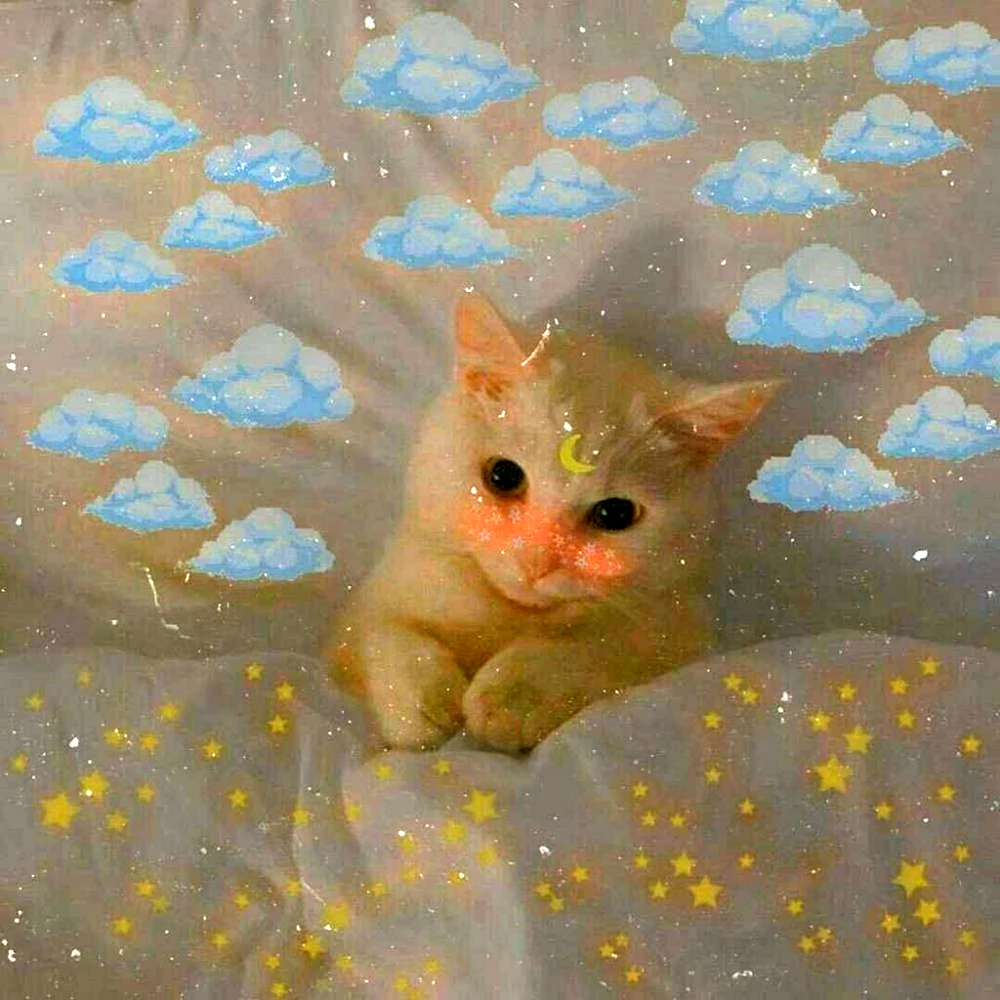 Котята Эстетика