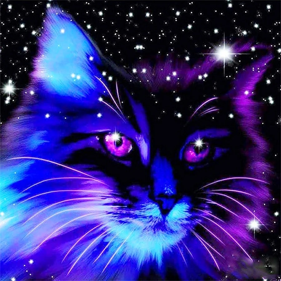 Коты Воители ночная звезда