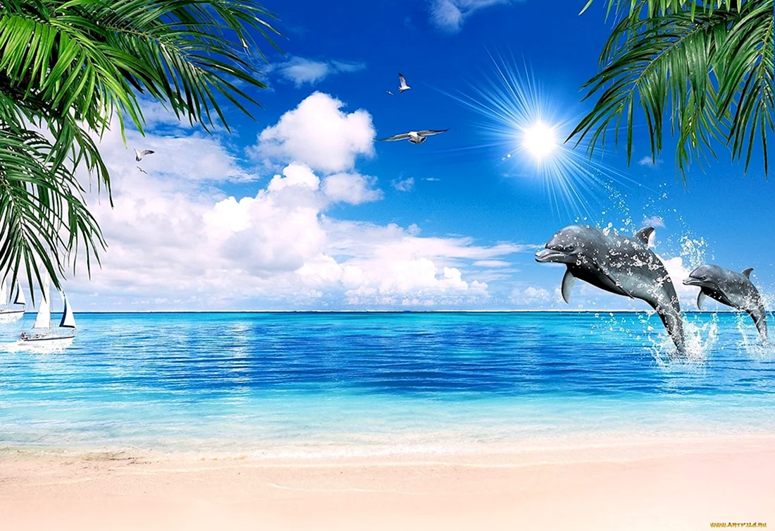 Красивое море