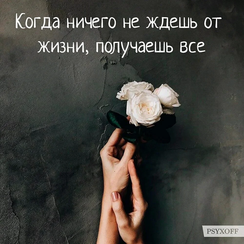 Красивые афоризмы