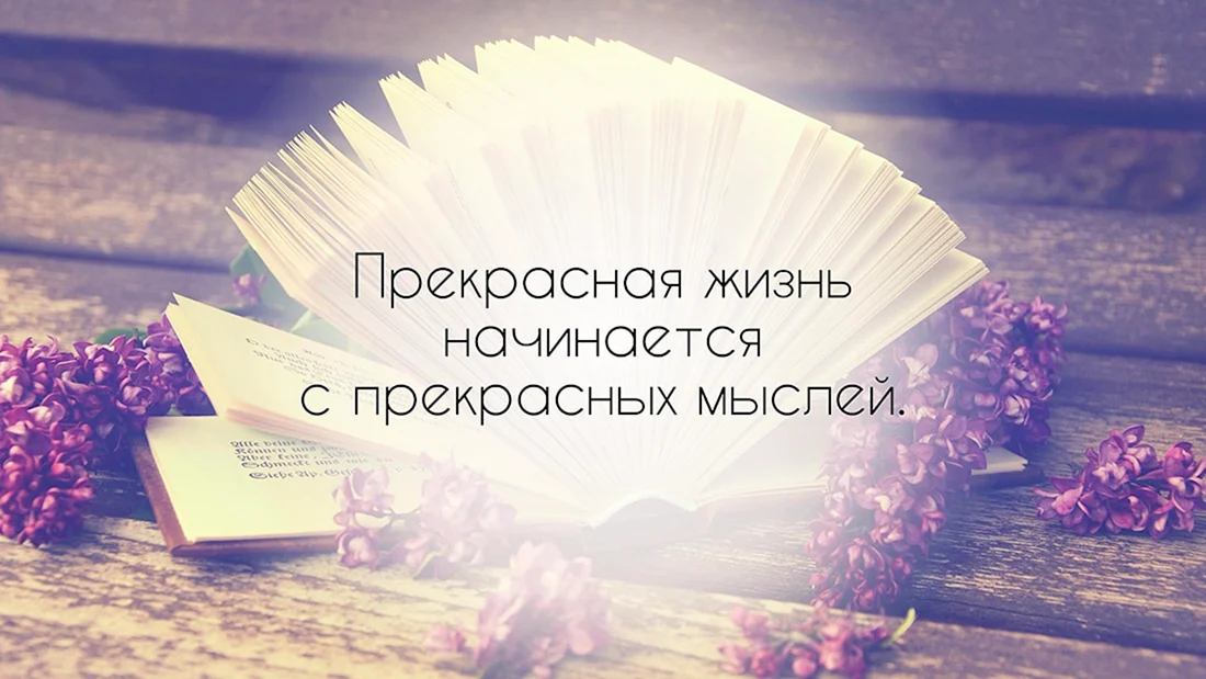 Красивые фразы