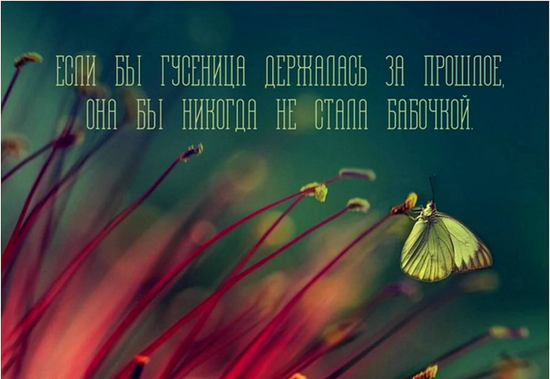 Красивые мысли