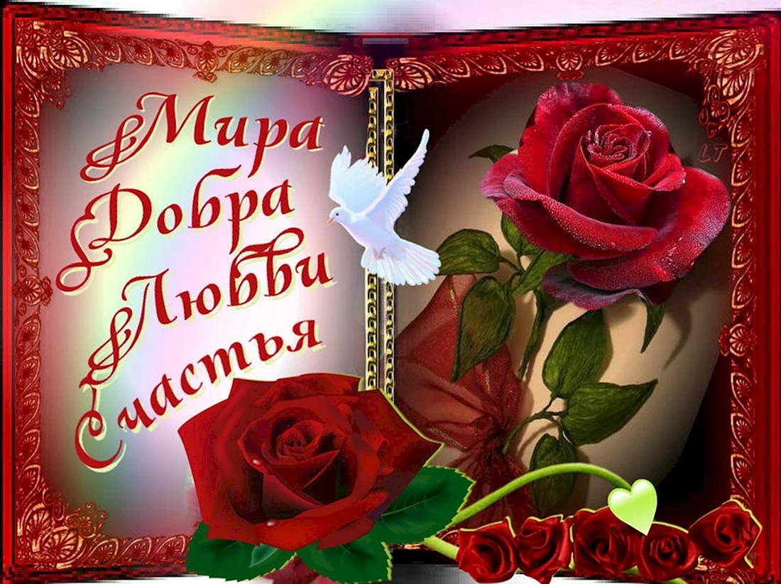 Красивые открытки
