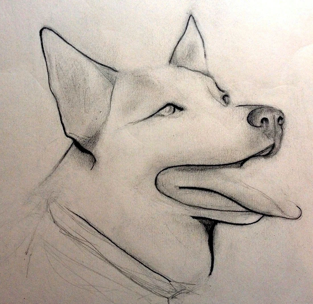 Красивые рисунки