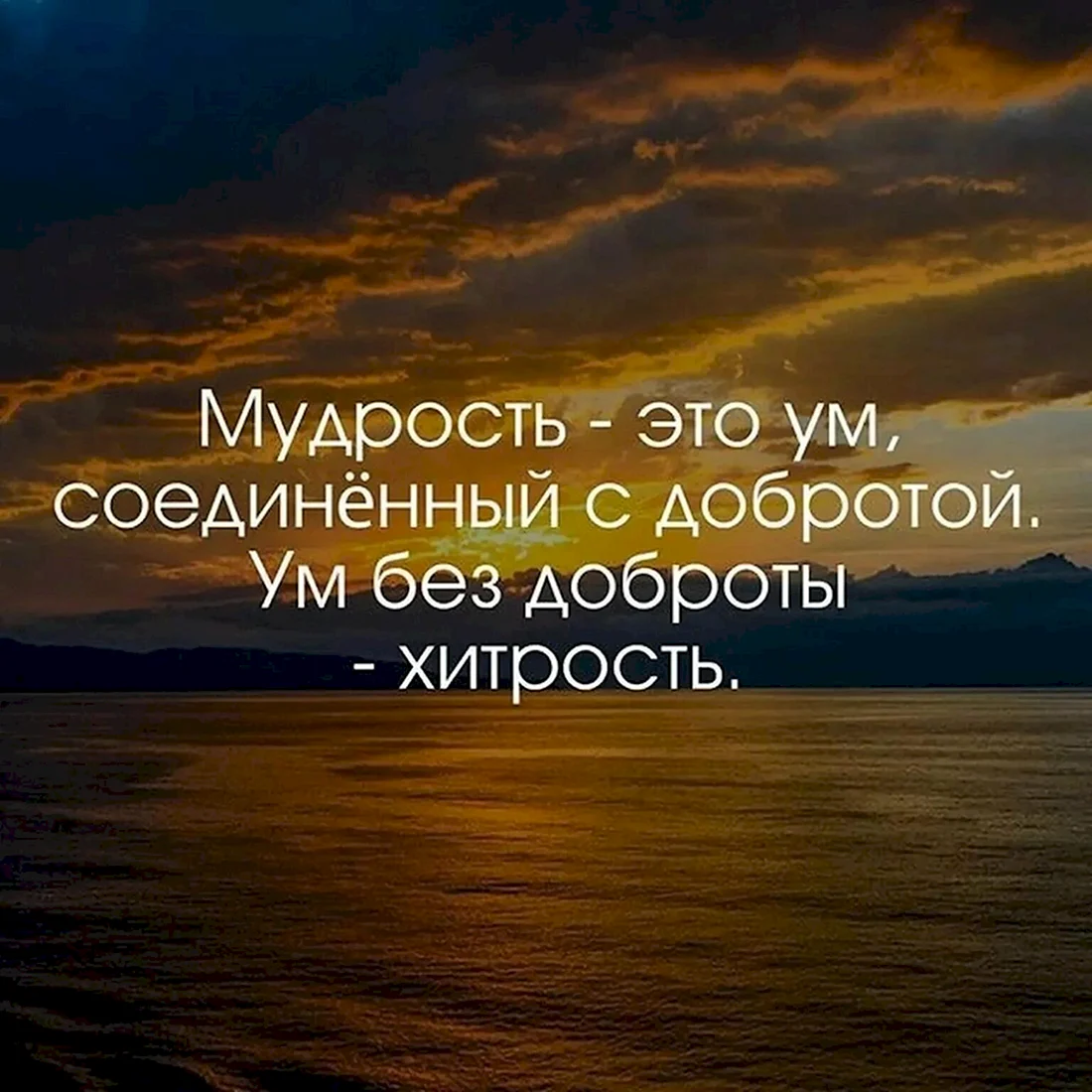 Красивые цитаты