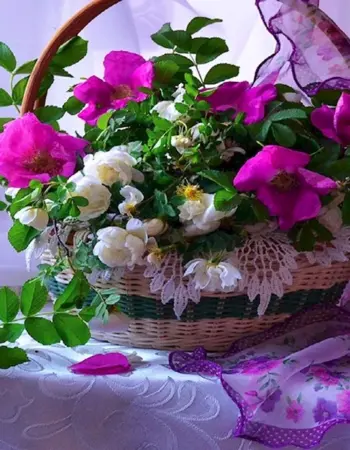 Красивые цветы в корзине