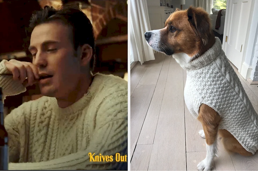 Крис Эванс и Доджер