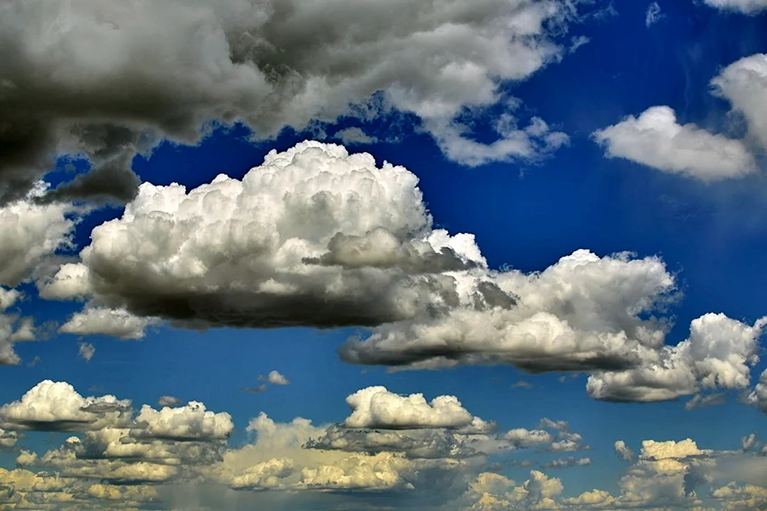 Кучевые Cumulus cu