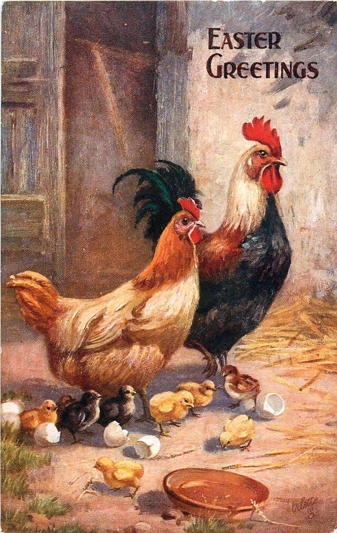 Курица и петух