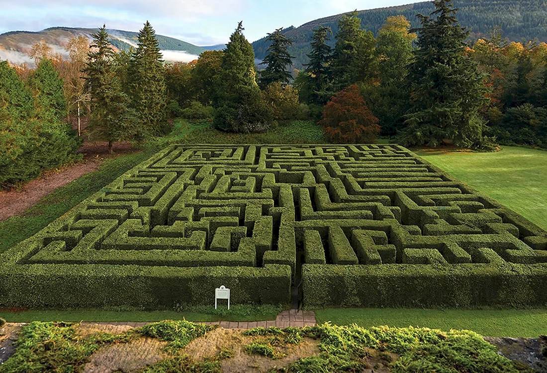 Лабиринт в Шотландии Traquair