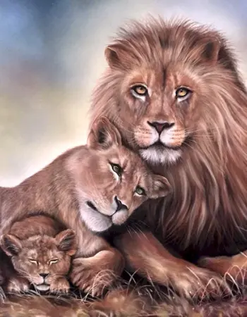 Лев львица и Львенок любовь