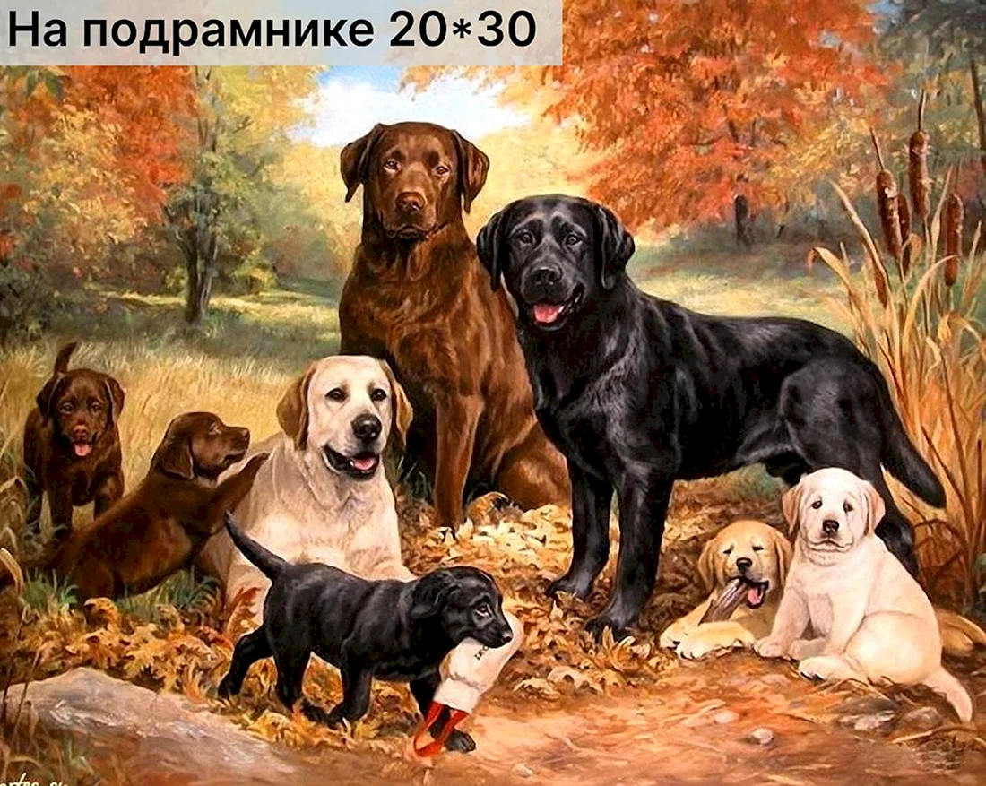 Linda Picken картины