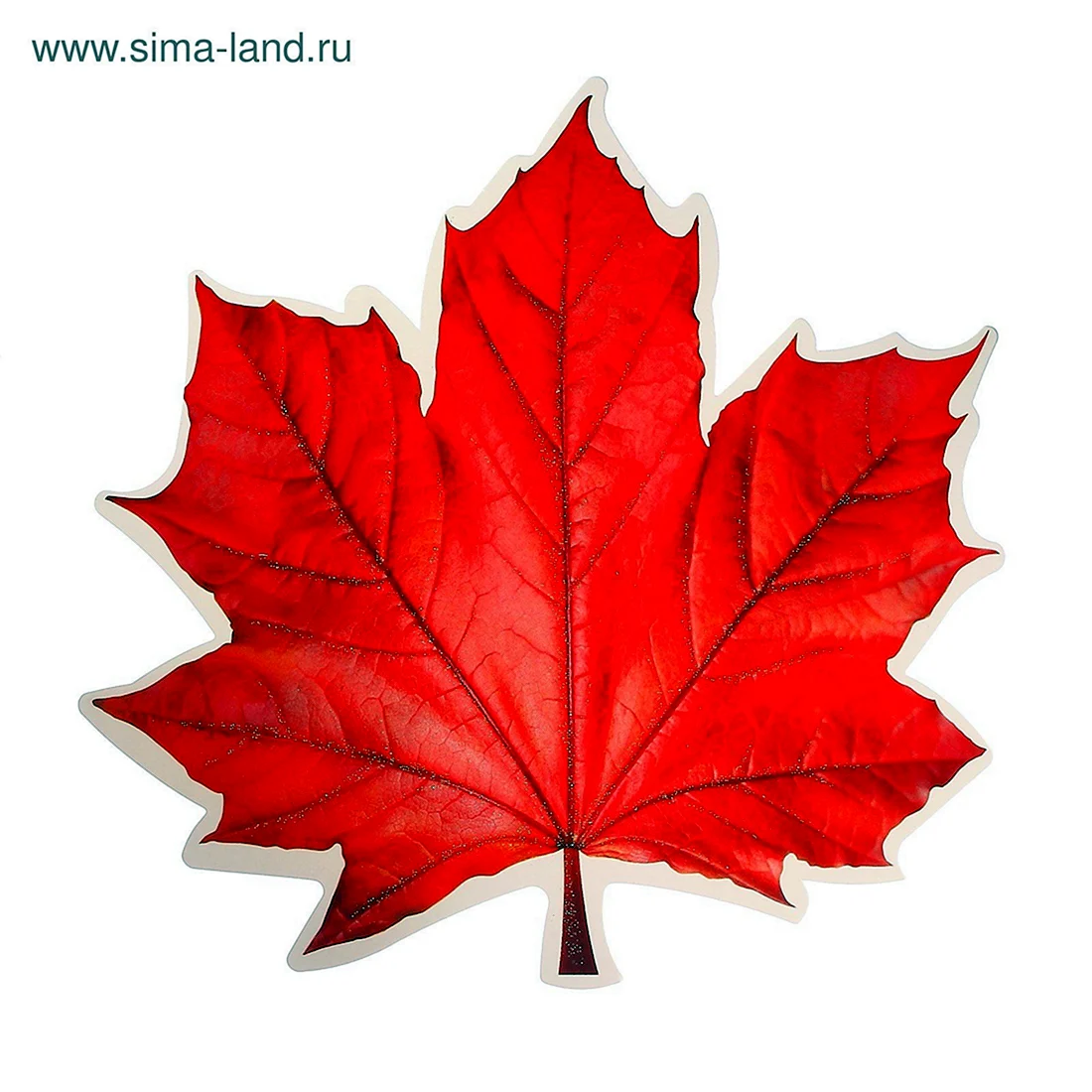 Лист клена
