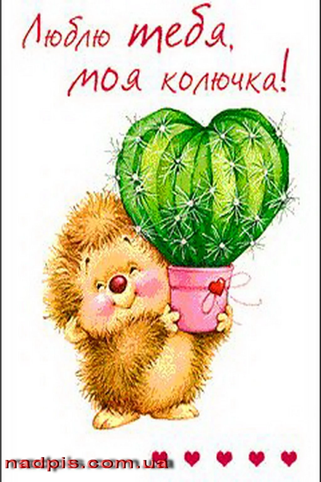 Люблю тебя моя колючка