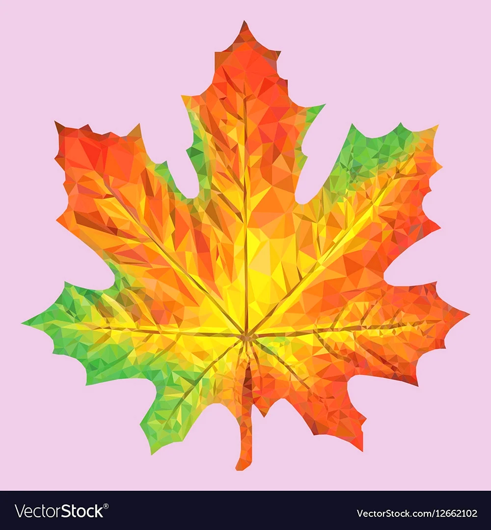 Maple кленовый лист