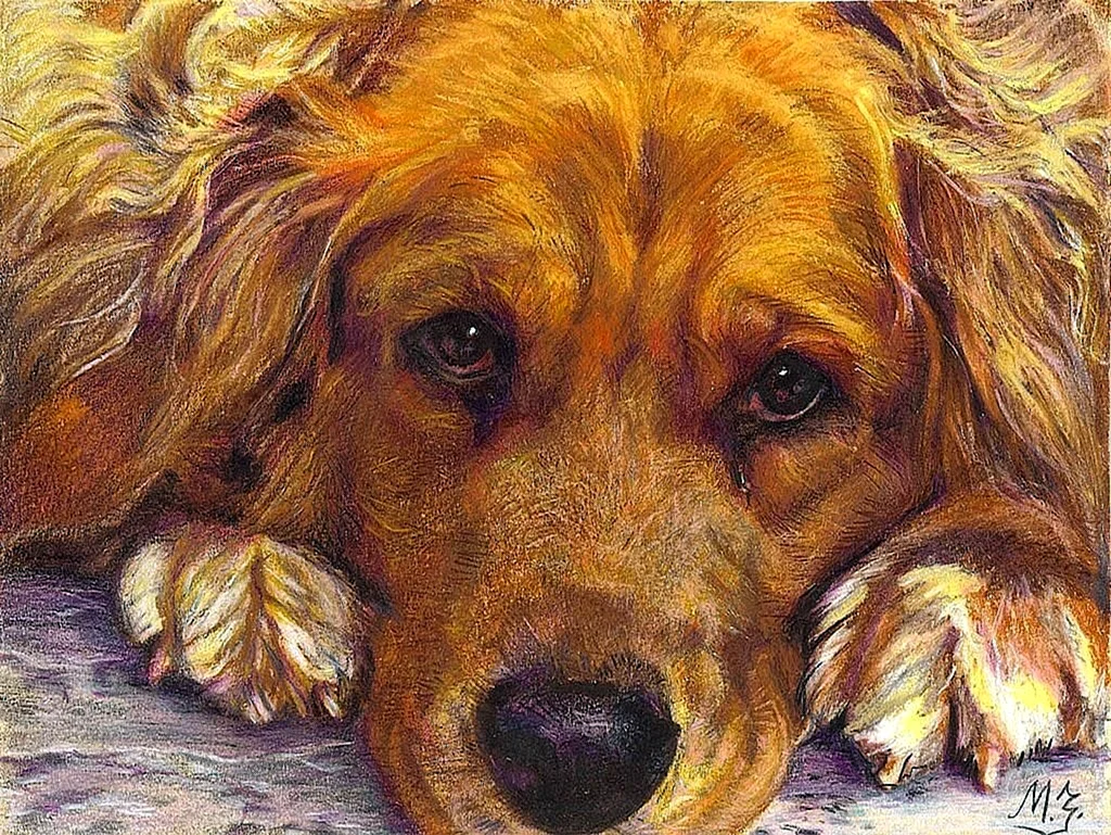 Мария Зельдис художник собаки