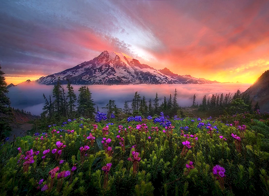 Марк Адамус фотограф
