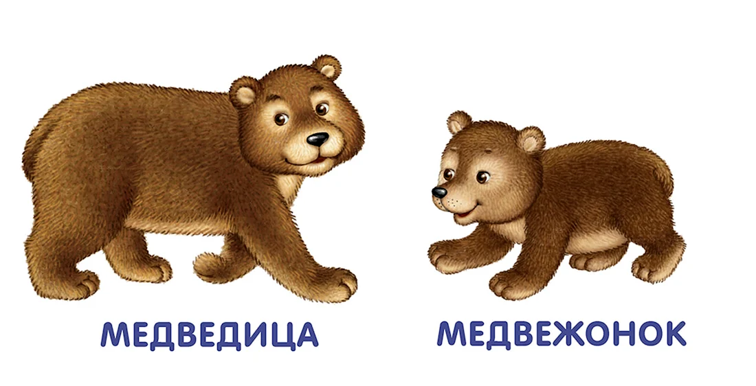 Медведь Медвежонок для детей