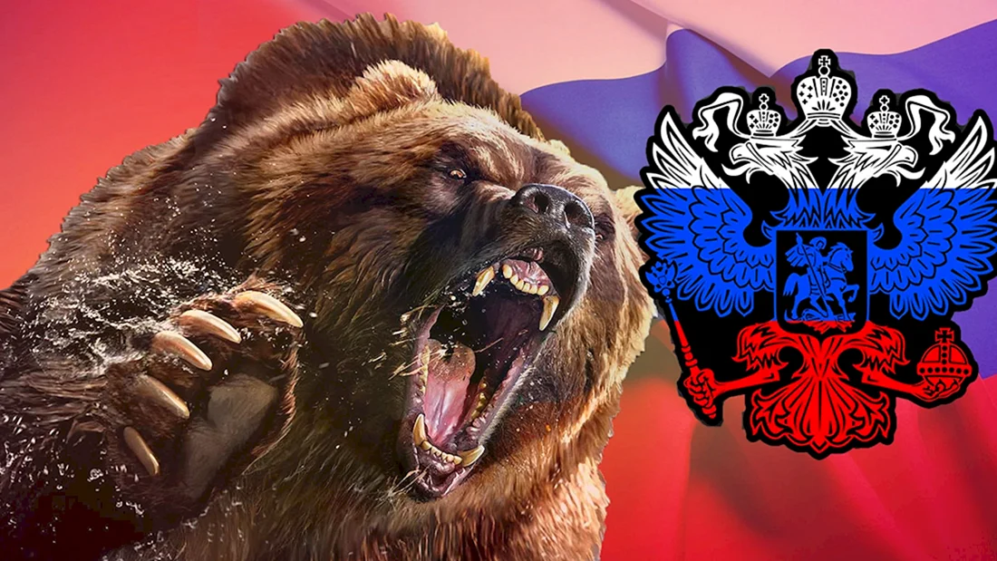 Медведь Россия