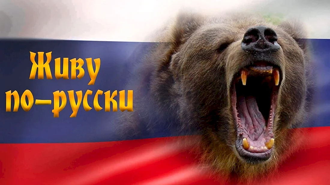 Медведь Россия