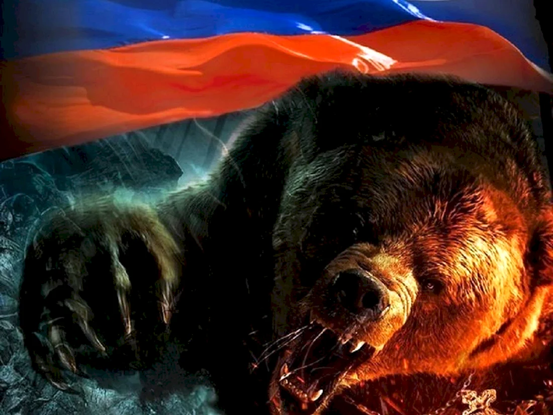 Медведь Россия