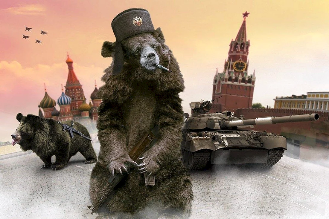 Медведь Россия