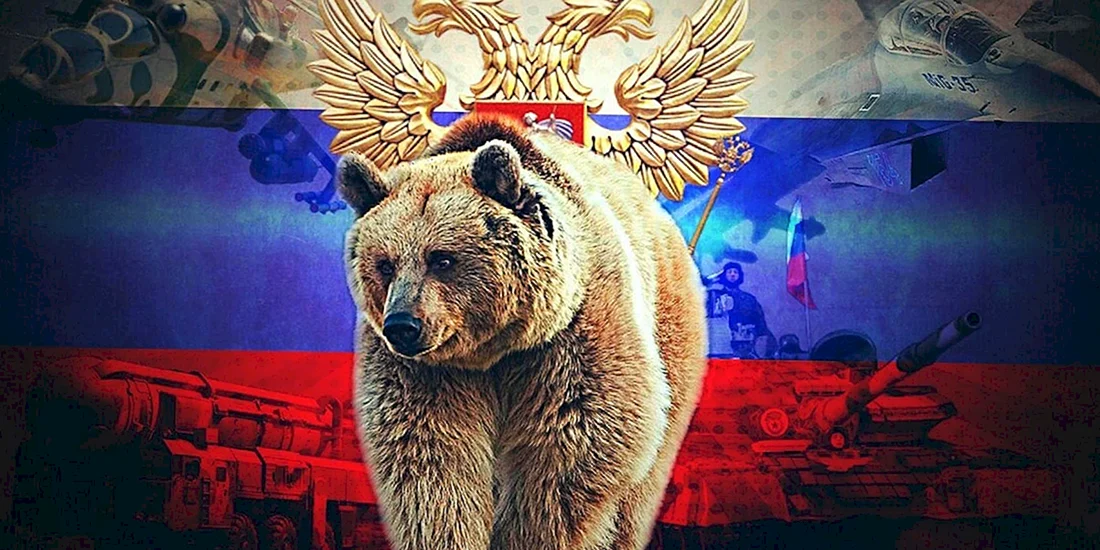 Медведь Россия