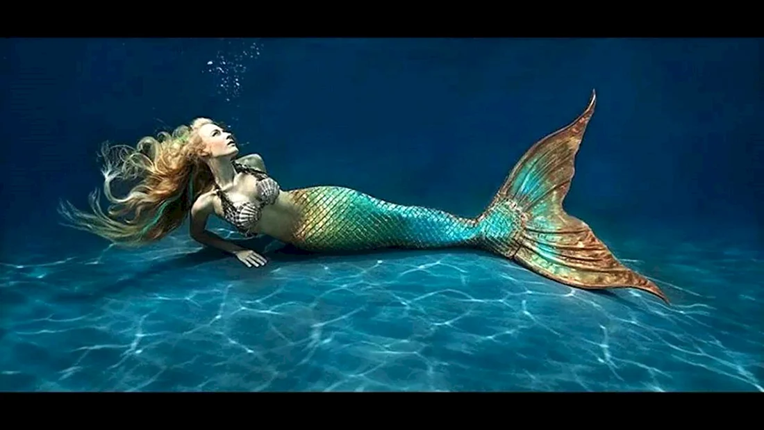 Mermaid Софья морская
