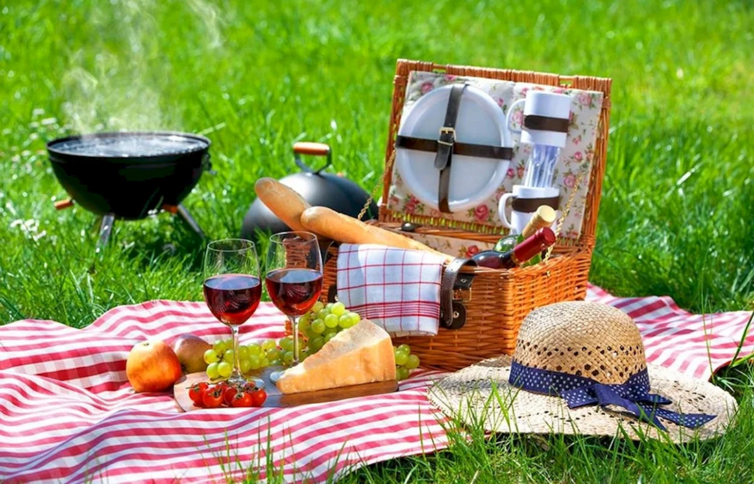 Международный день пикника International Picnic Day