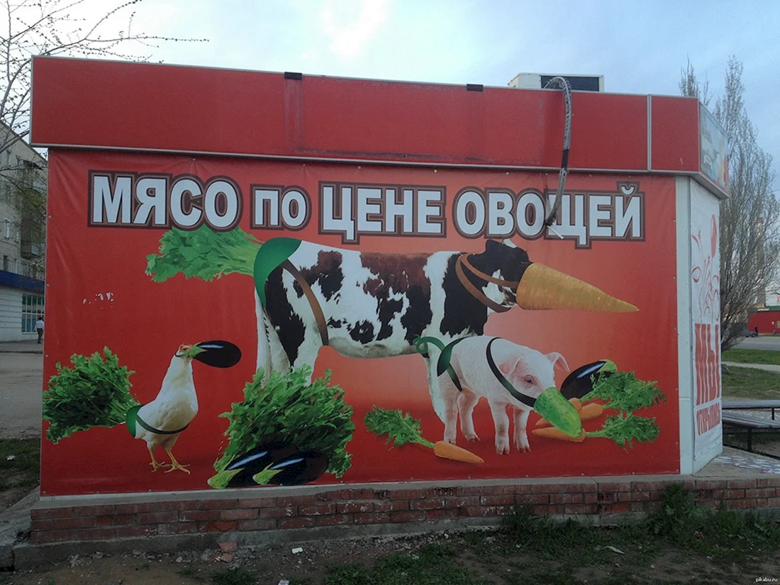 Мясной магазин баннер