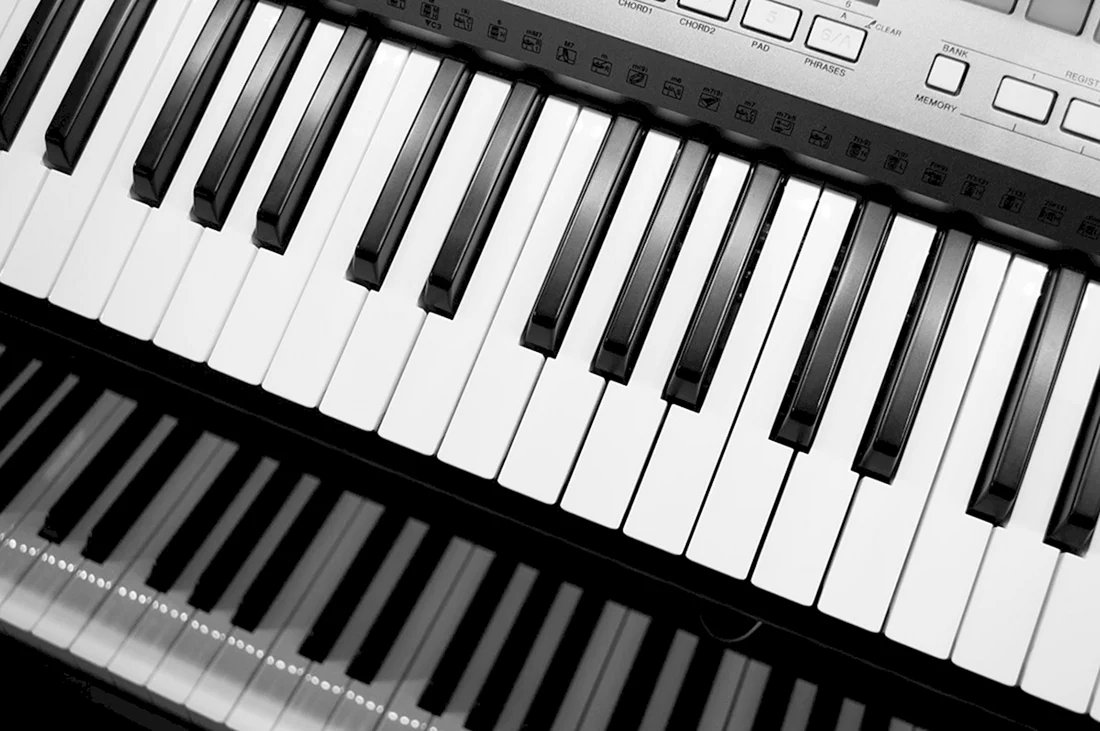 Миди баян из Yamaha PSR 51