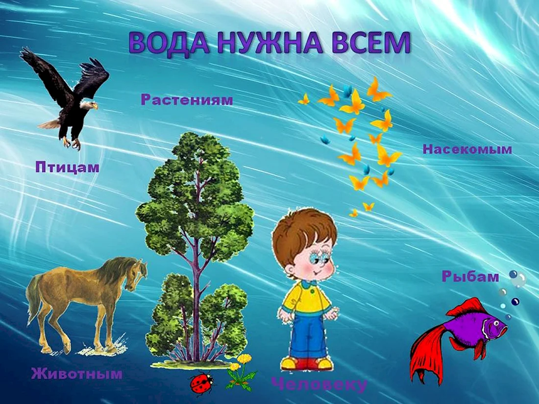 Мир вокруг нас для дошкольников