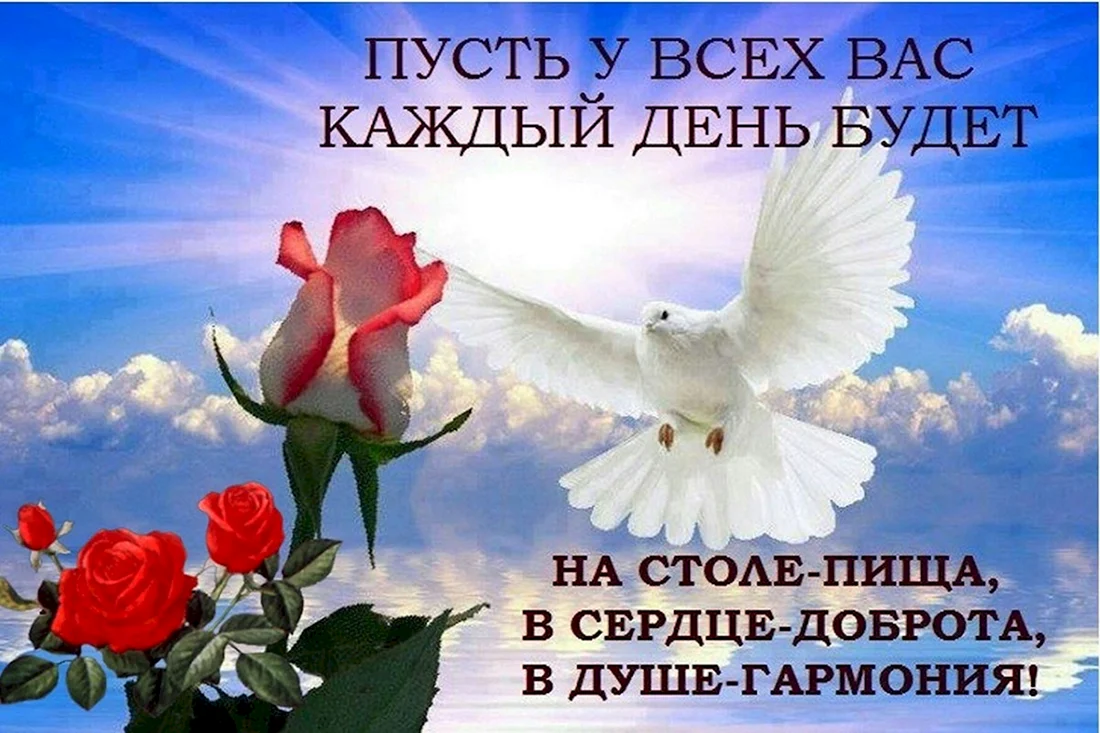 Мира и добра